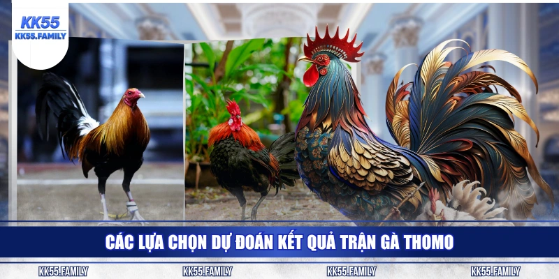 Các lựa chọn dự đoán kết quả trận gà Thomo