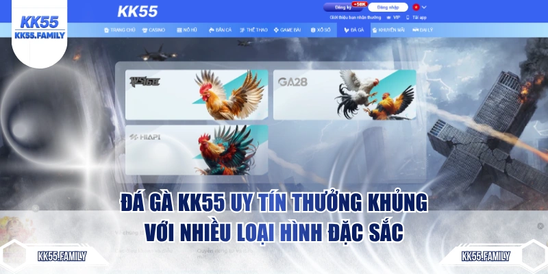 Đá gà KK55