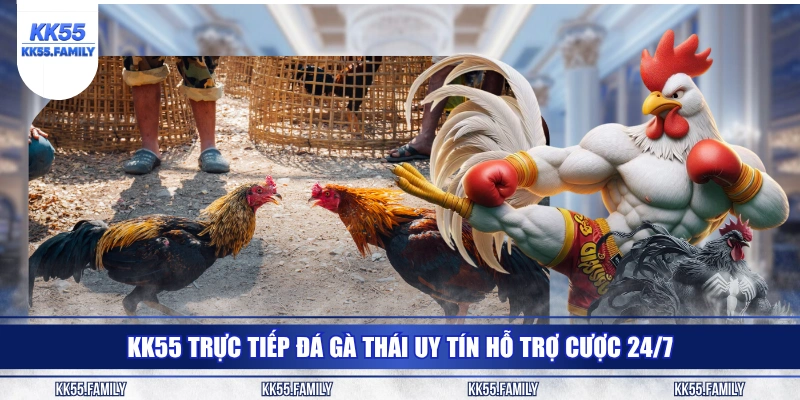 KK55 trực tiếp đá gà Thái uy tín hỗ trợ cược 24/7