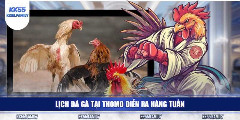 Lịch đá gà tại Thomo diễn ra hàng tuần