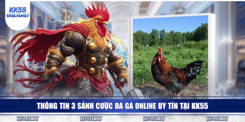 Thông tin 3 sảnh cược đá gà online uy tín tại KK55