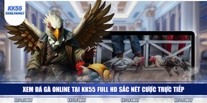 Xem đá gà online tại KK55 full HD sắc nét cược trực tiếp